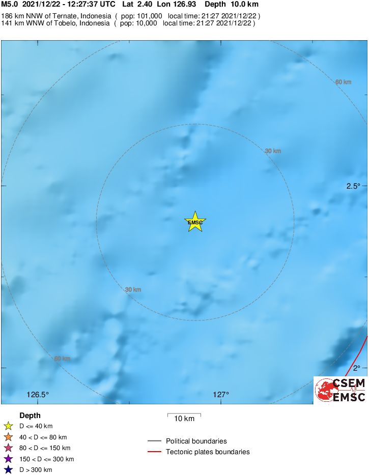 Local View