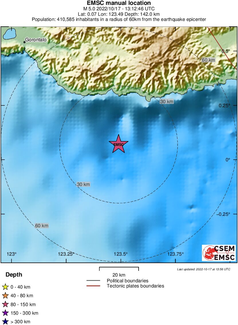Local View