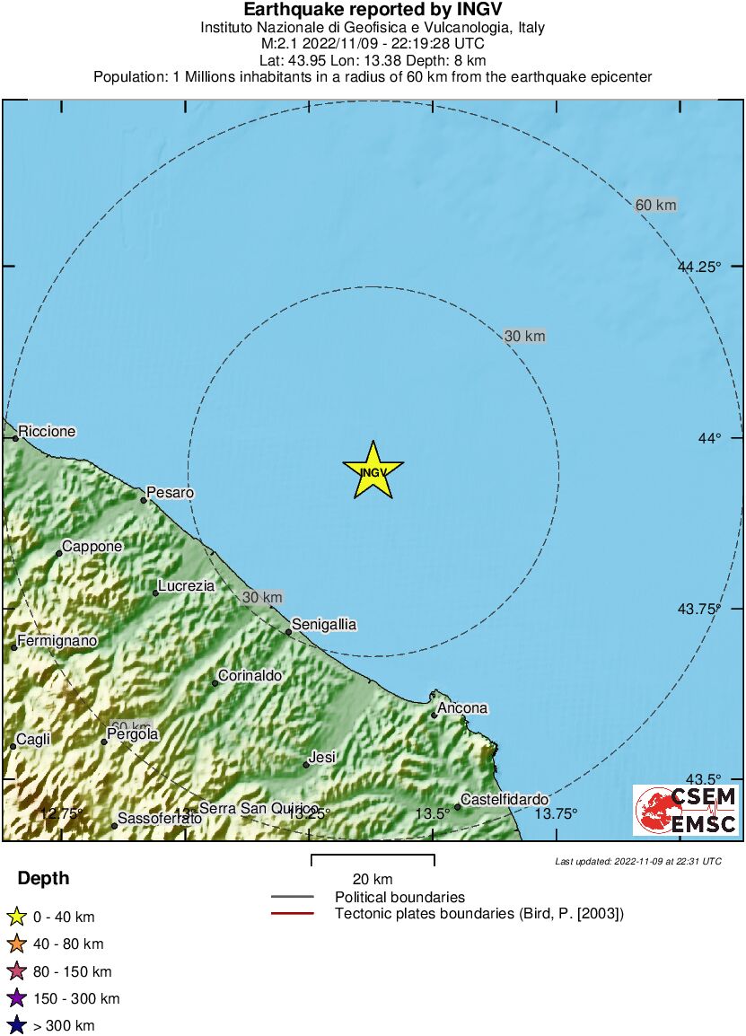 Local View