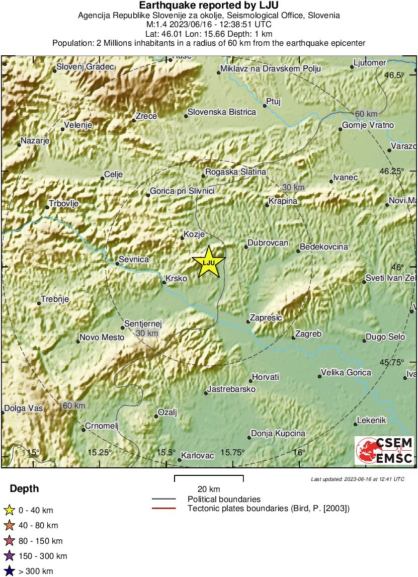 Local View