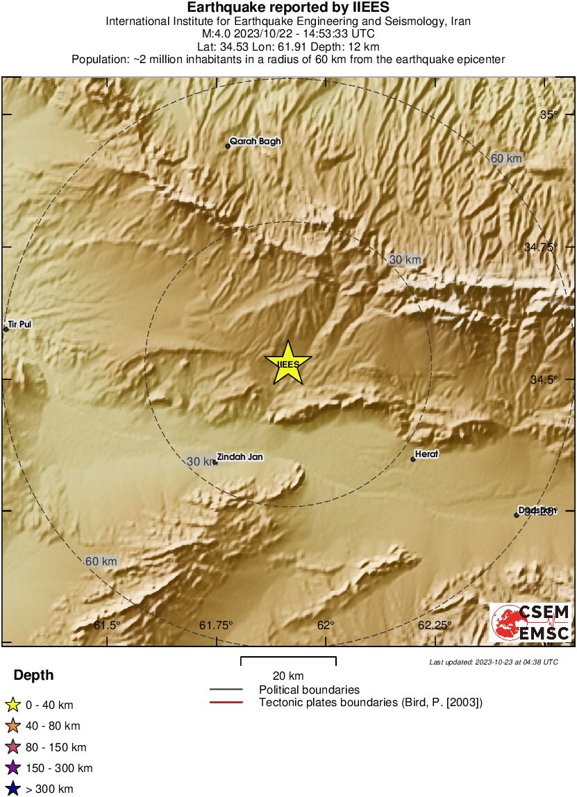 Local View