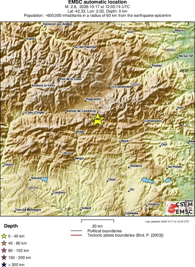 Local View