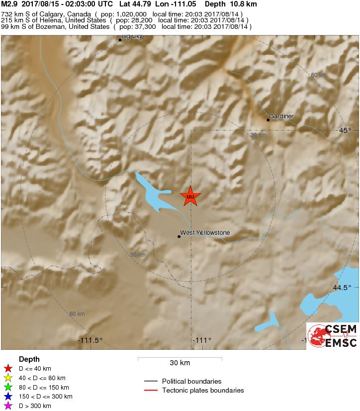 Local View