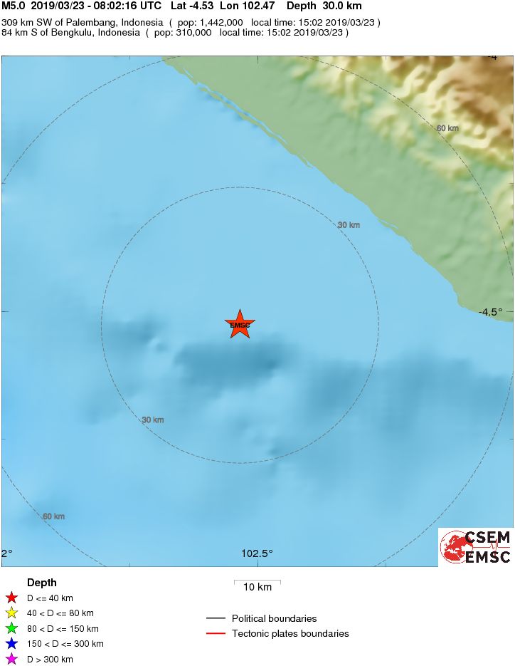Local View