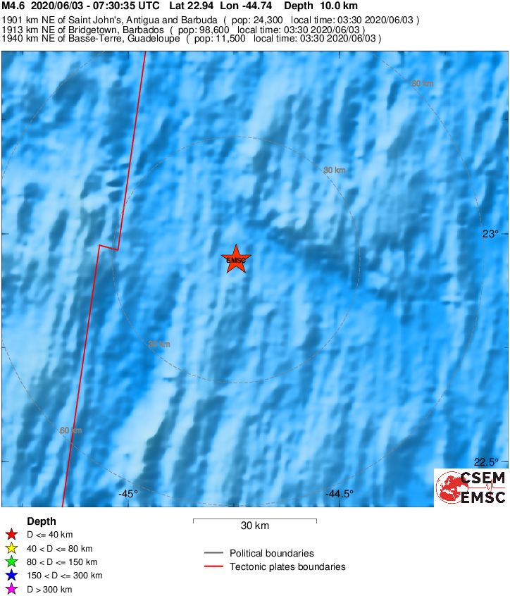 Local View