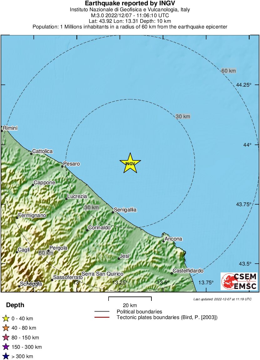 Local View