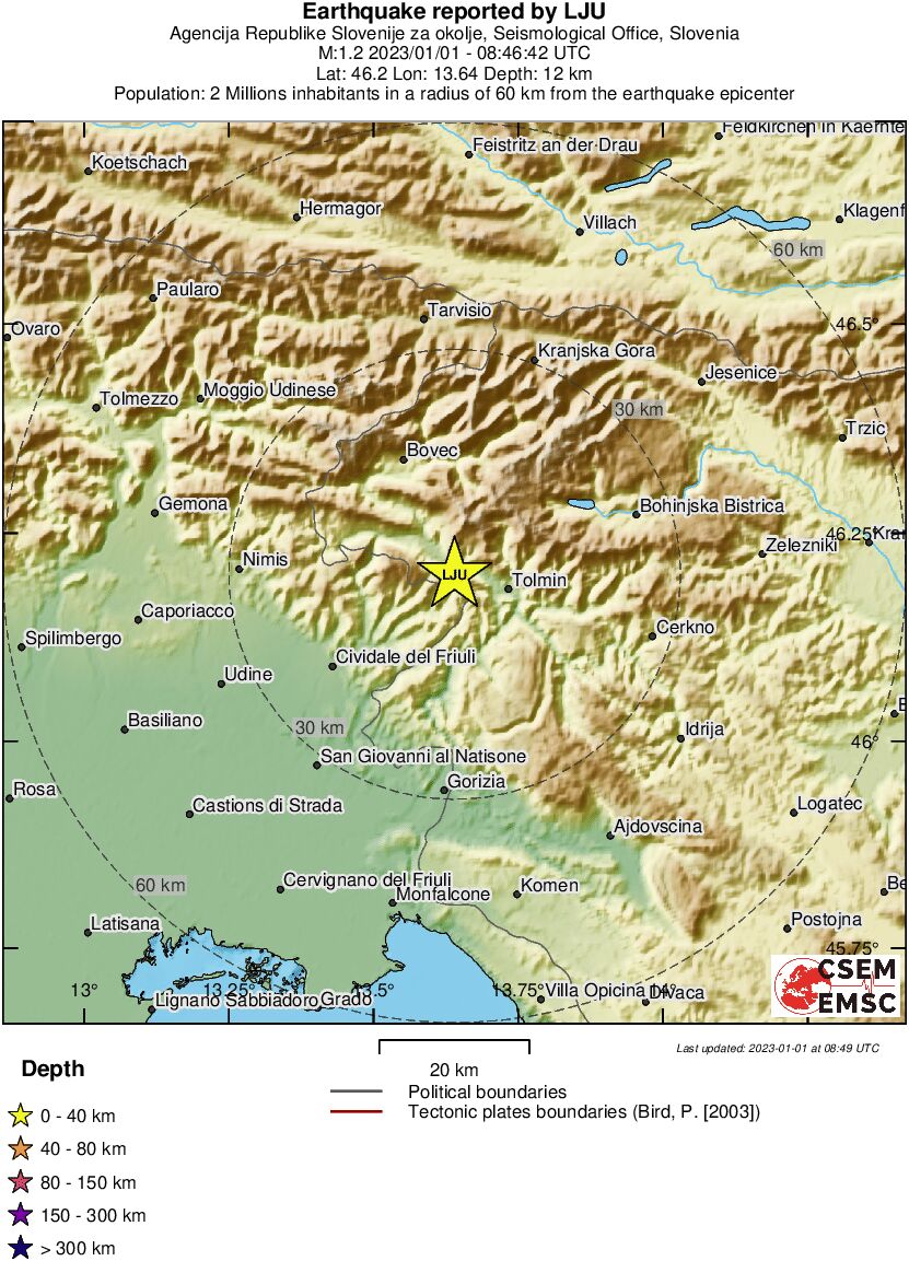Local View