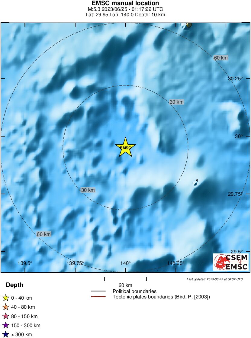 Local View