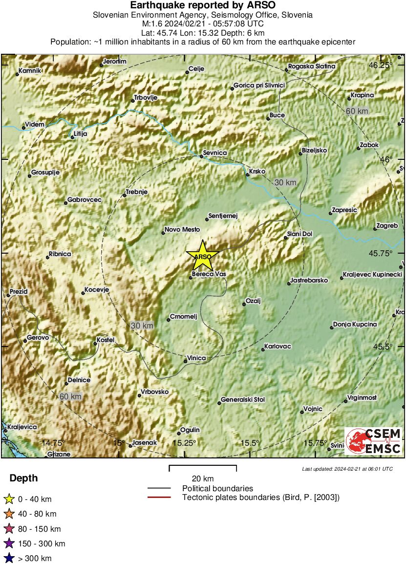 Local View