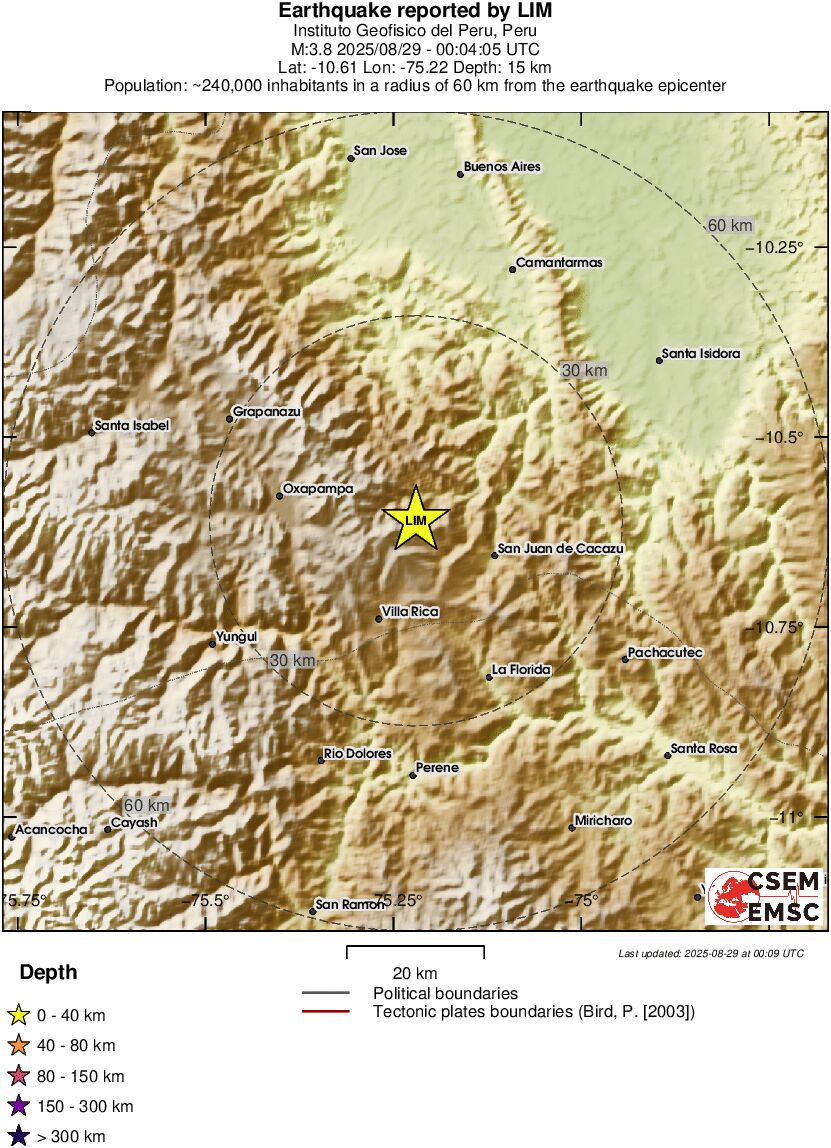 Local View