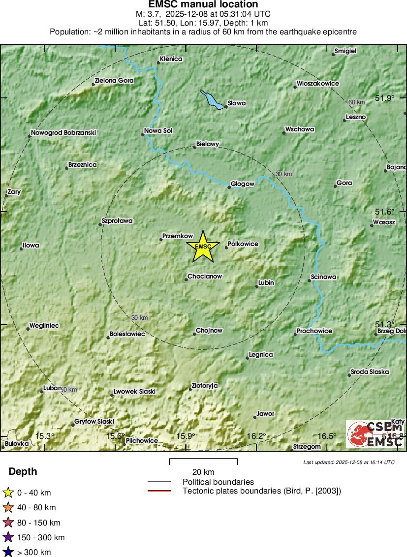Local View