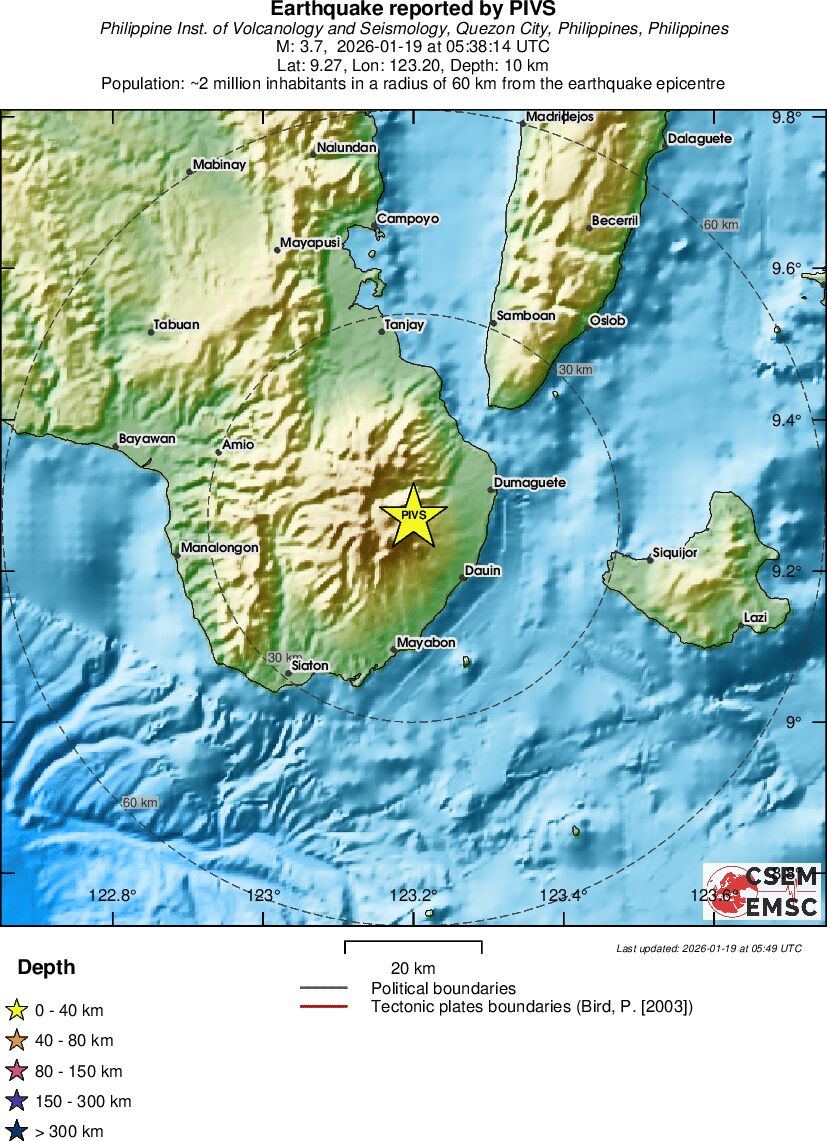 Local View