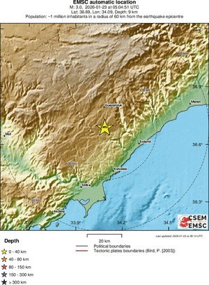 Local View