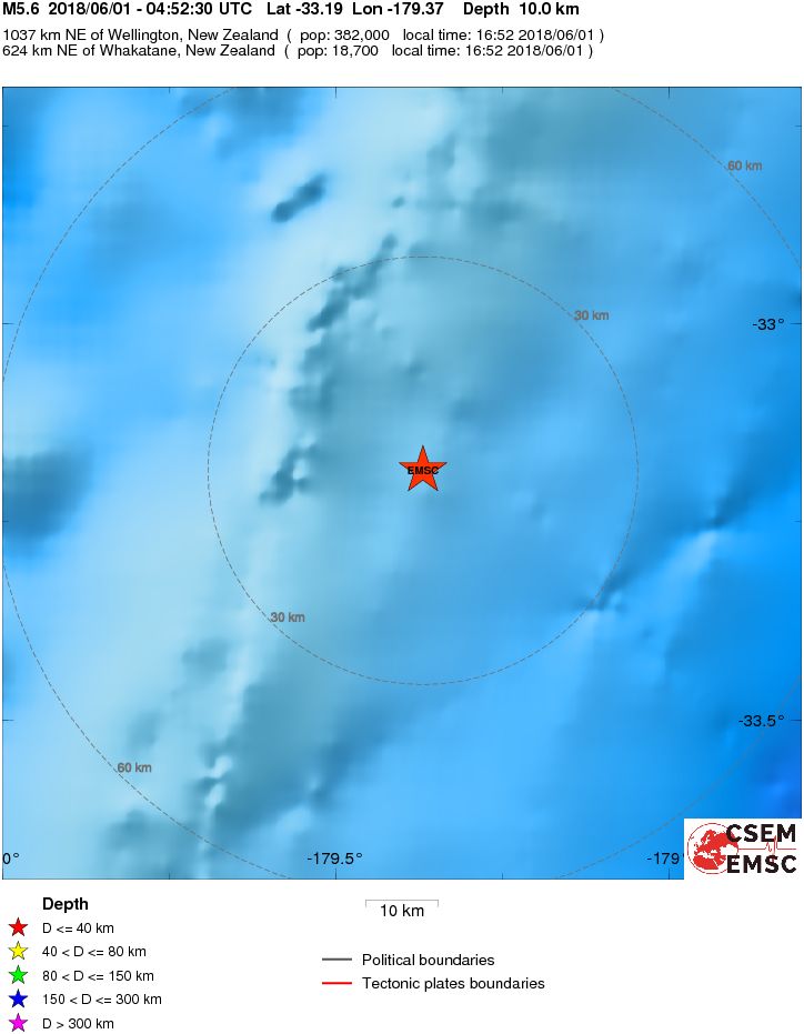 Local View