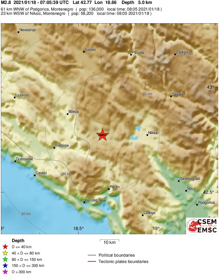 Local View