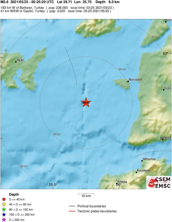 Local View